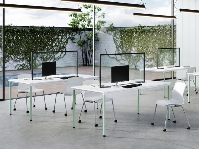 Imme Collection