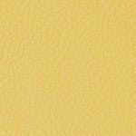 P12 Yellow Swatch