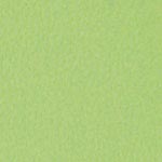 P14 Lime Green Swatch