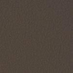P18 Brownstone Swatch