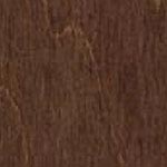 SP20 Chocolate Swatch