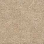 A02 Almond Swatch